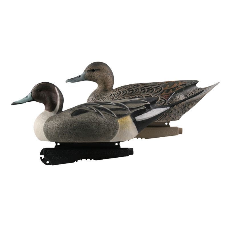 Avery Greenhead Gear Oversize Pintails 6-Pack
